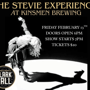 The Stevie Experience !